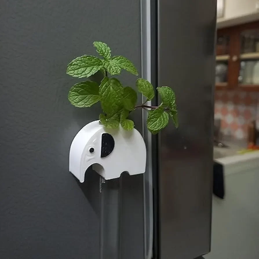 Elephant Magnet Test Tube Planter for Cupboard, Fridge and for Any Metallic Surface image 3